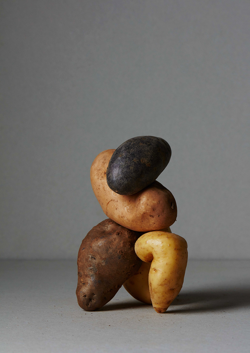 Ana Domínguez Studio: Still Lifes x Apartamento Magazine (Fig. 9)