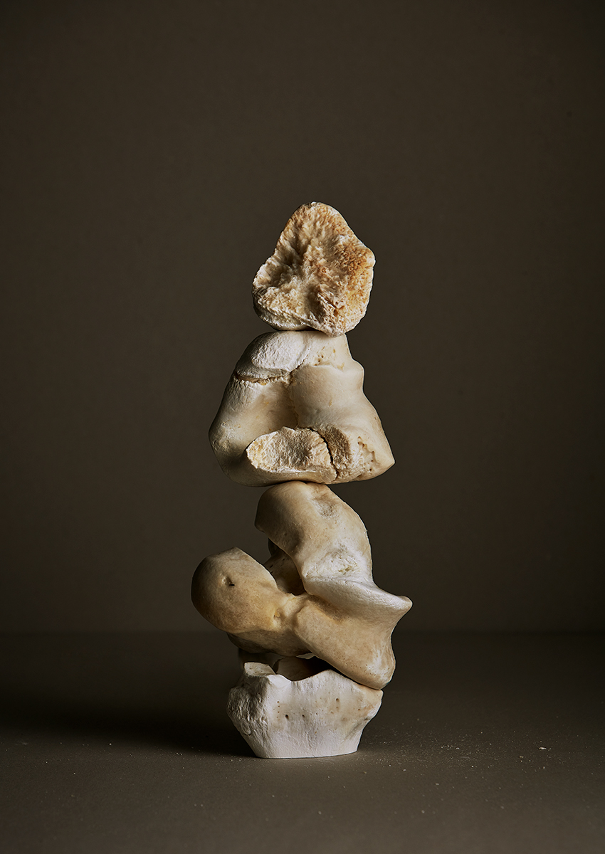 Ana Domínguez Studio: Still Lifes x Apartamento Magazine (Fig. 44)