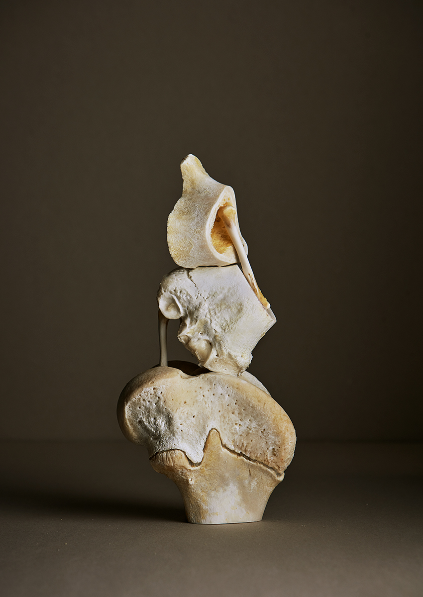 Ana Domínguez Studio: Still Lifes x Apartamento Magazine (Fig. 42)