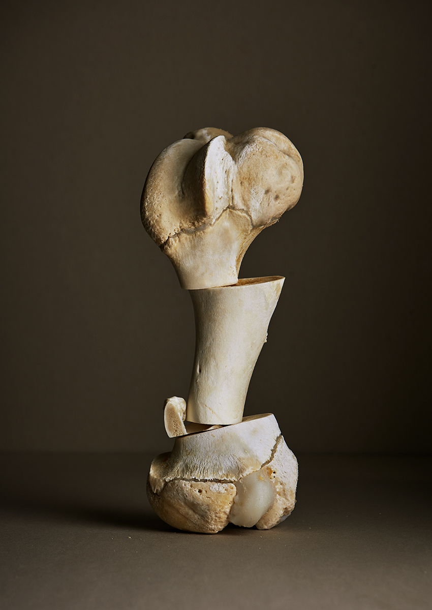 Ana Domínguez Studio: Still Lifes x Apartamento Magazine (Fig. 41)