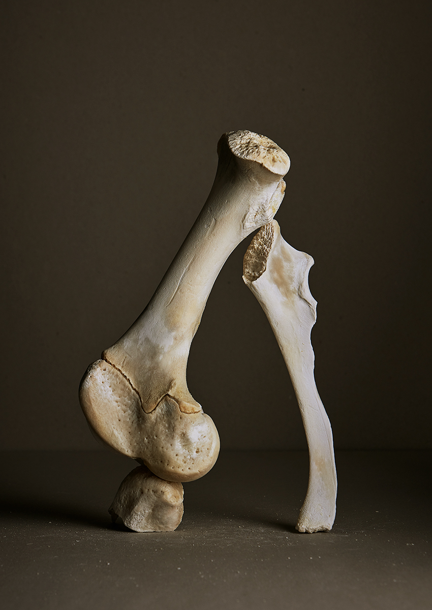 Ana Domínguez Studio: Still Lifes x Apartamento Magazine (Fig. 40)