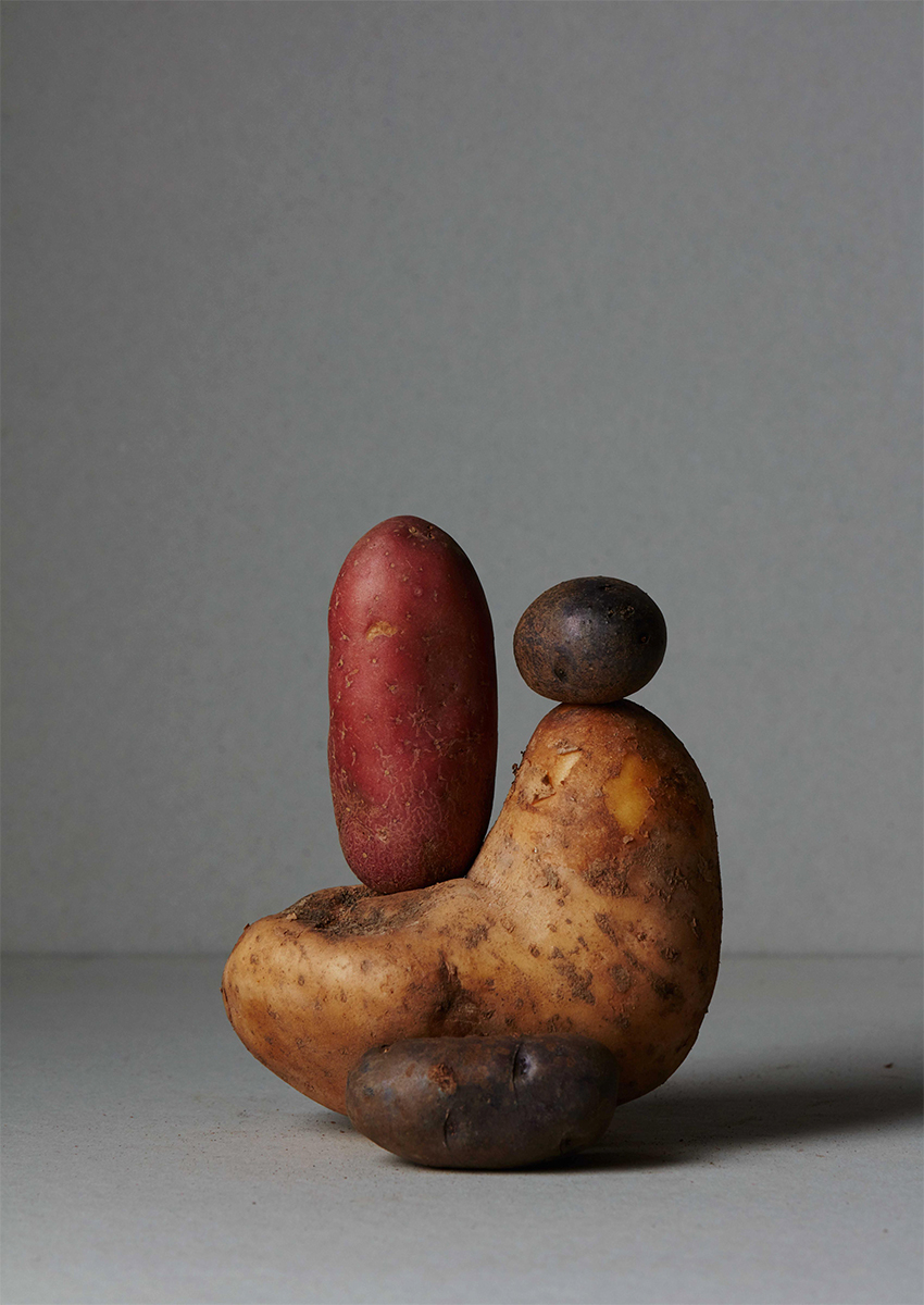 Ana Domínguez Studio: Still Lifes x Apartamento Magazine (Fig. 11)