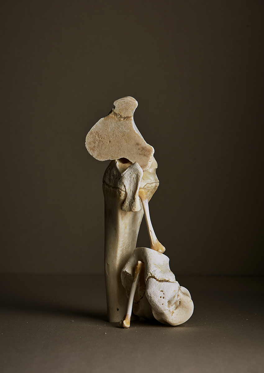 Ana Domínguez Studio: Still Lifes x Apartamento Magazine (Fig. 39)