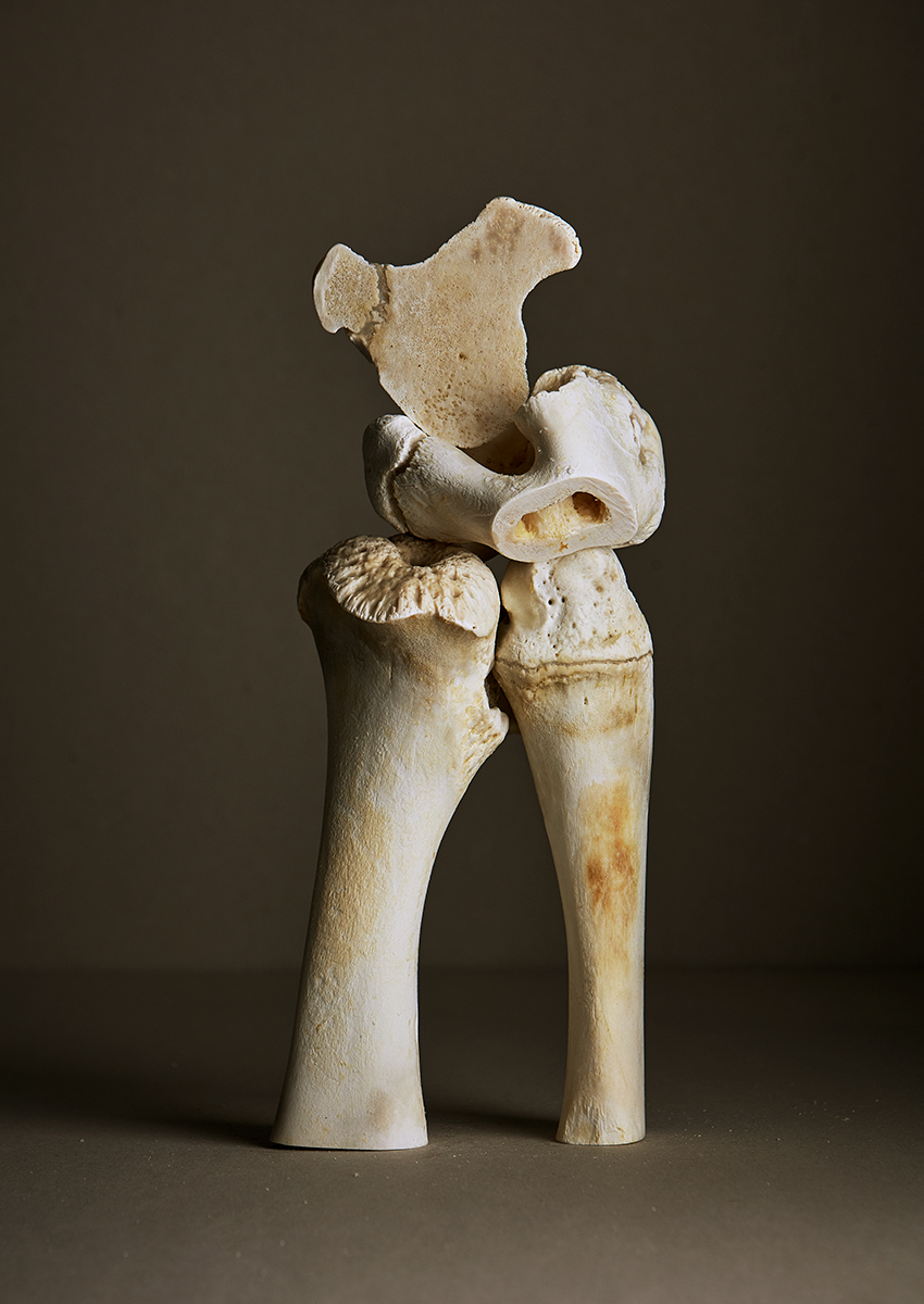 Ana Domínguez Studio: Still Lifes x Apartamento Magazine (Fig. 38)