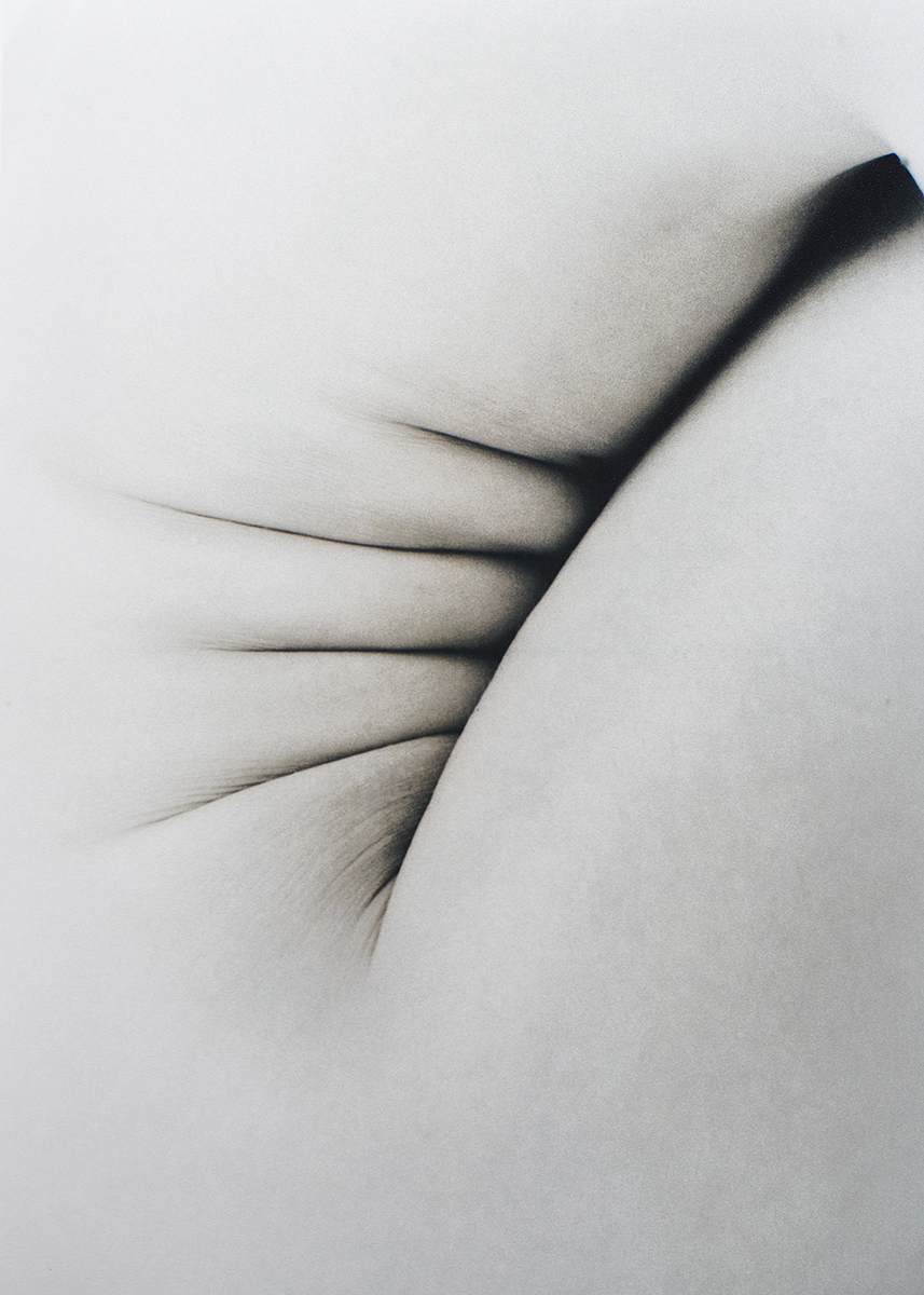 Ana Domínguez Studio: Hereu (Fig. 10)