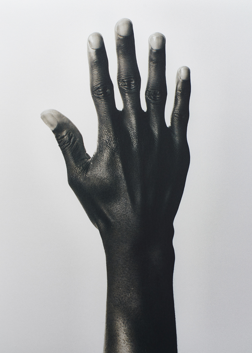 Ana Domínguez Studio: Hereu (Fig. 14)