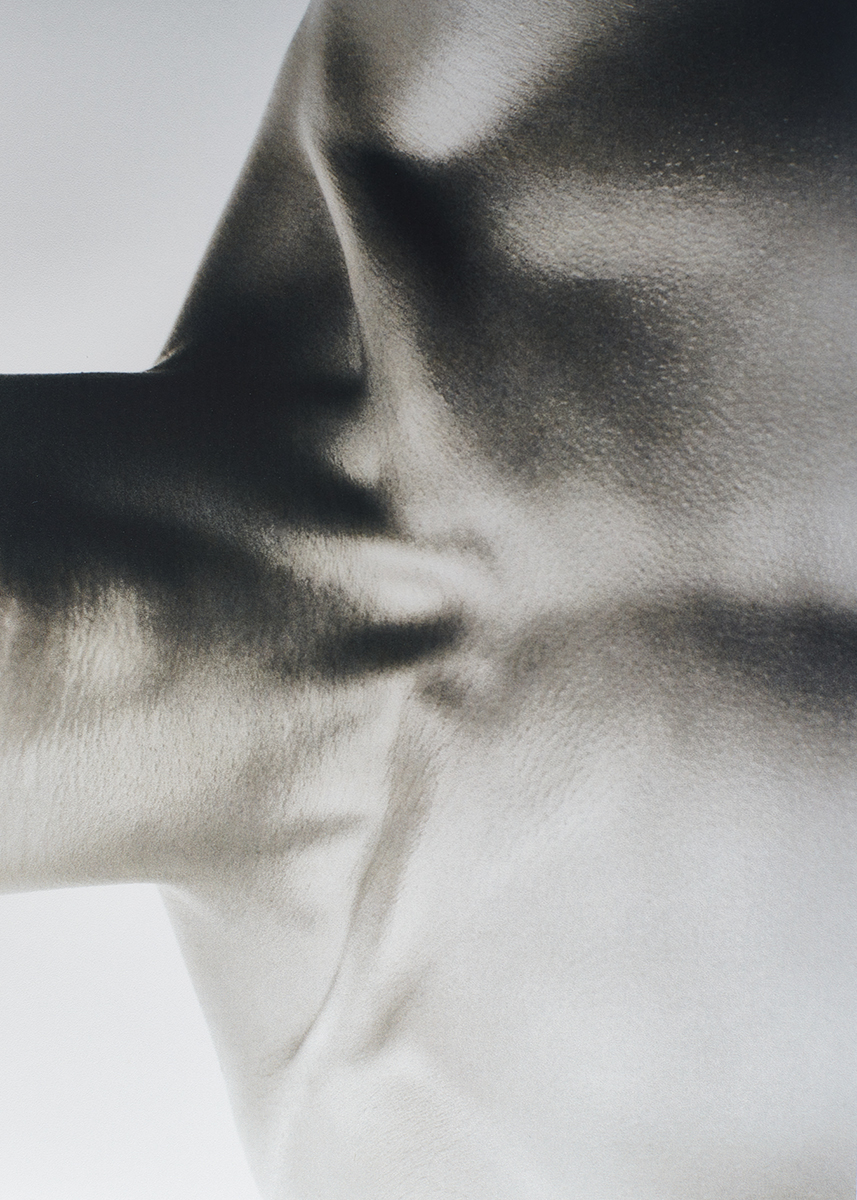 Ana Domínguez Studio: Hereu (Fig. 18)