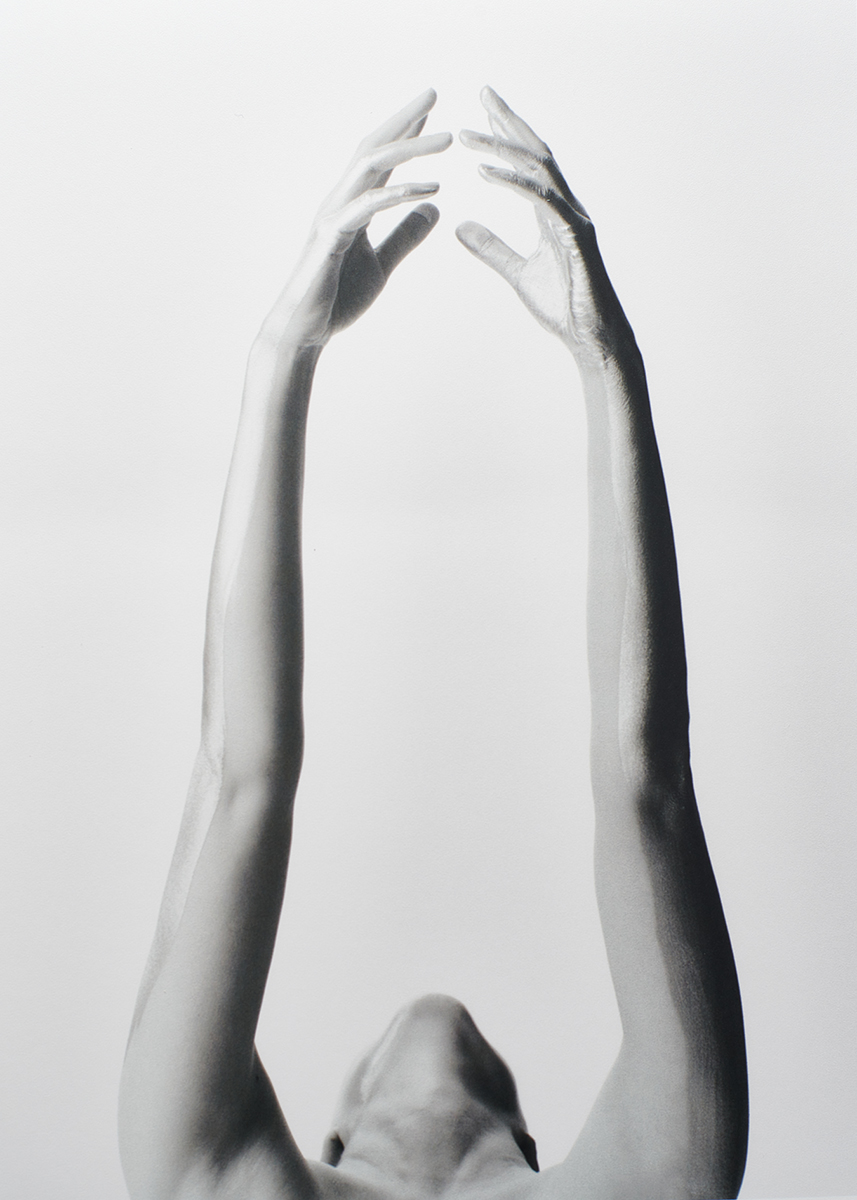 Ana Domínguez Studio: Hereu (Fig. 4)