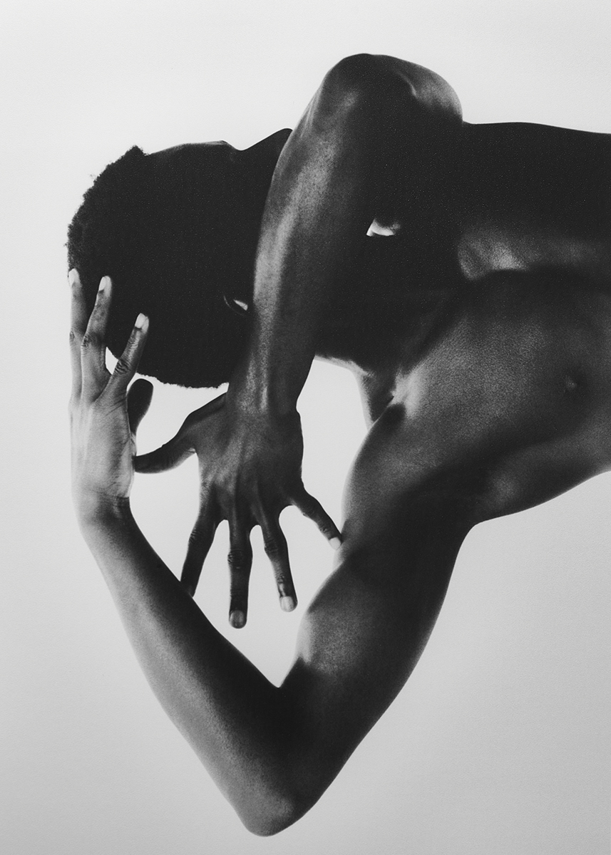 Ana Domínguez Studio: Hereu (Fig. 20)