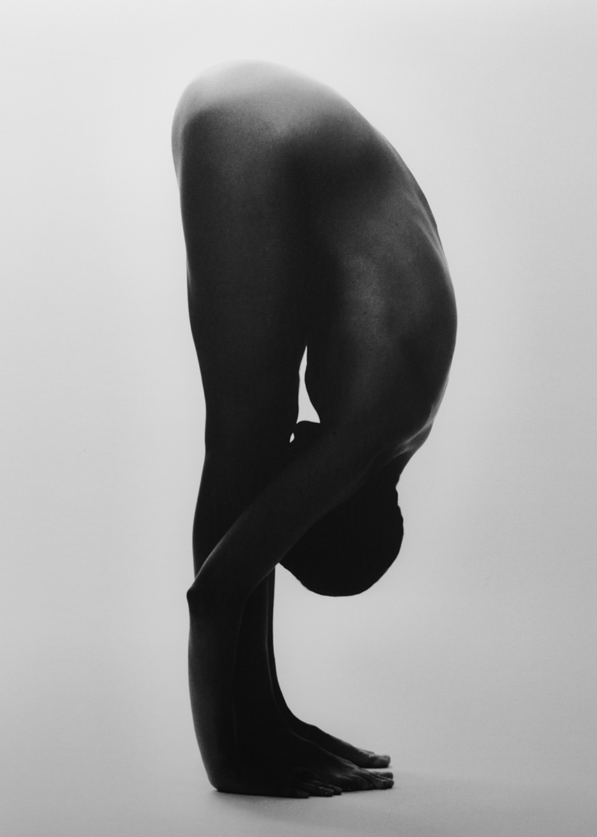 Ana Domínguez Studio: Hereu (Fig. 6)