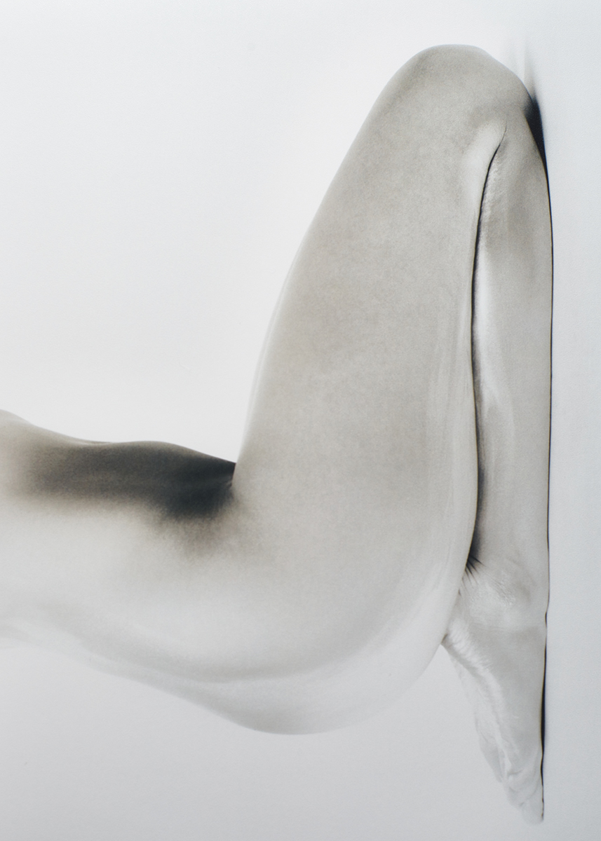 Ana Domínguez Studio: Hereu (Fig. 8)
