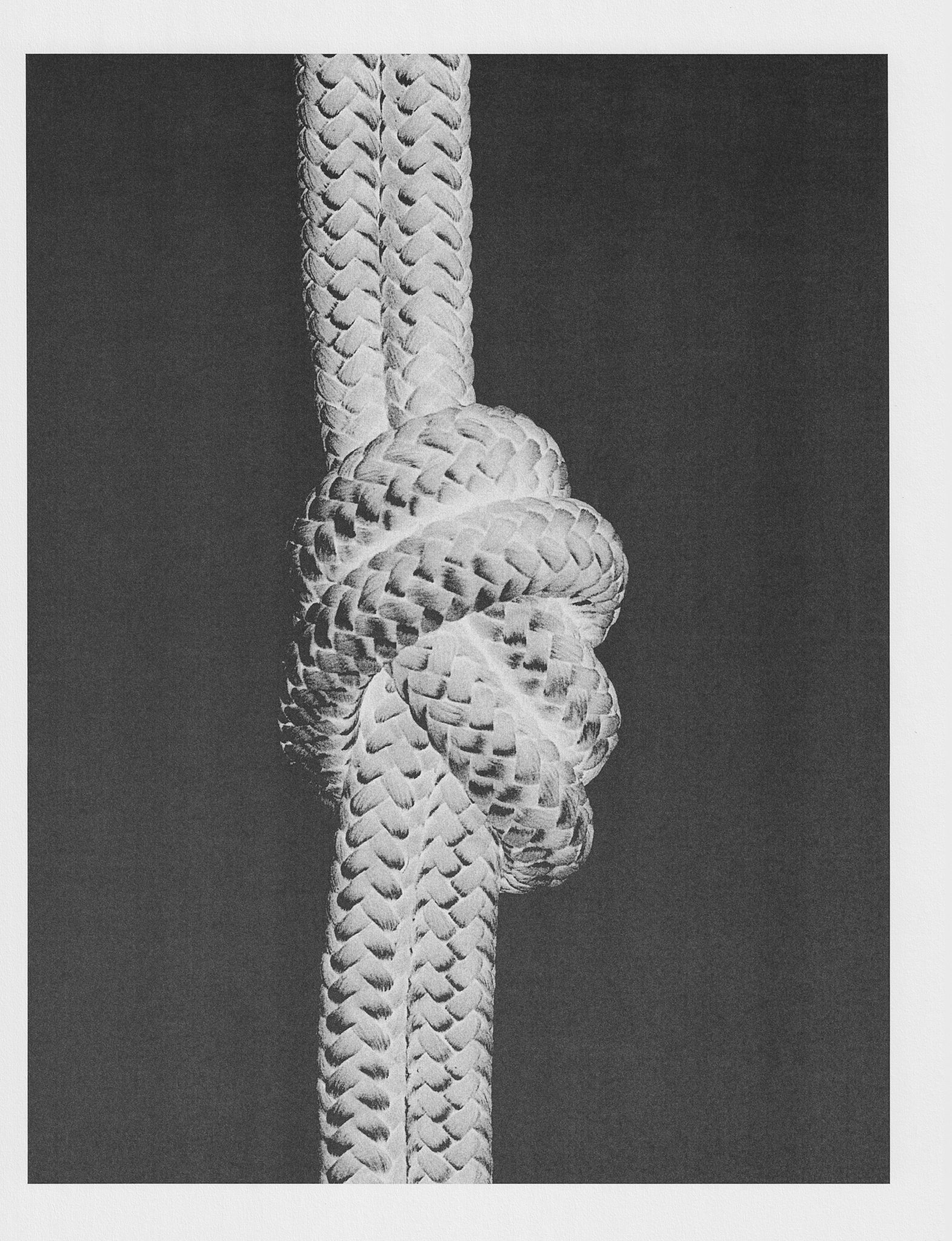 Ana Domínguez Studio: Knots x The Plant (Fig. 9)