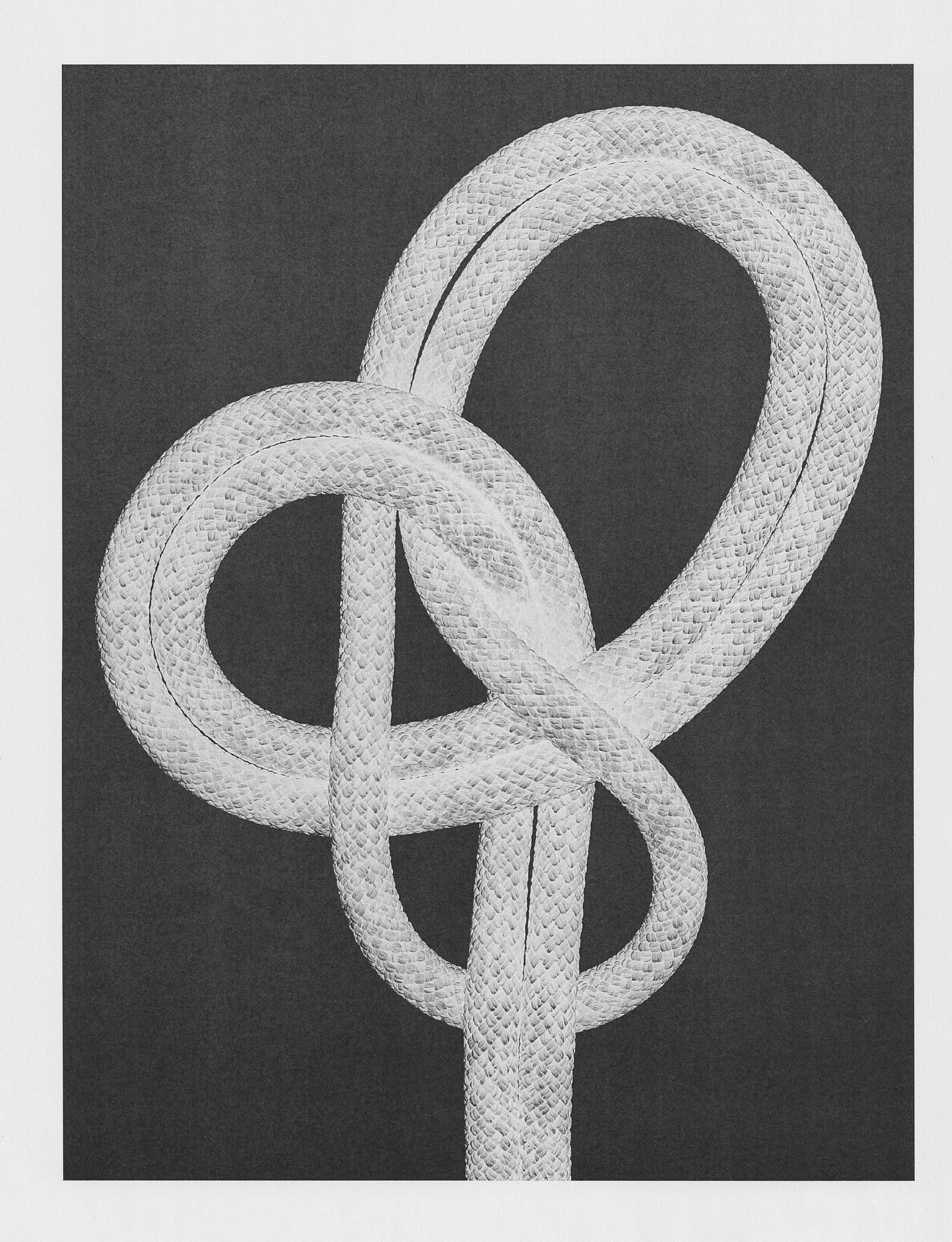 Ana Domínguez Studio: Knots x The Plant (Fig. 2)