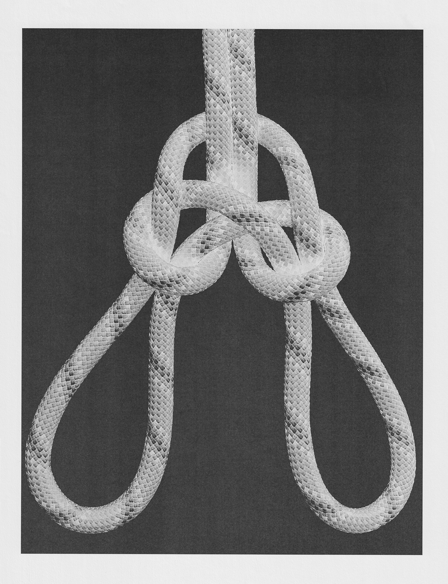 Ana Domínguez Studio: Knots x The Plant (Fig. 11)