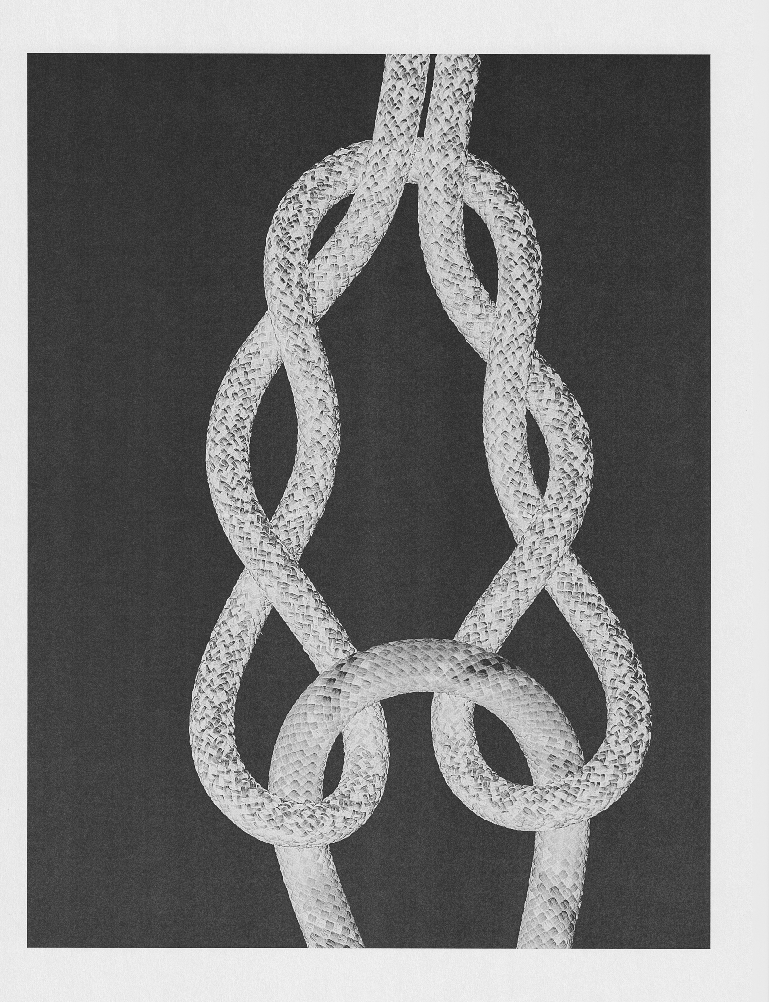 Ana Domínguez Studio: Knots x The Plant (Fig. 6)