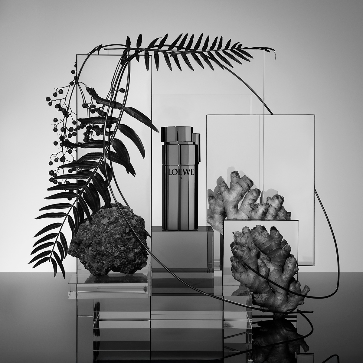 Ana Domínguez Studio: Loewe Perfumes (Fig. 30)