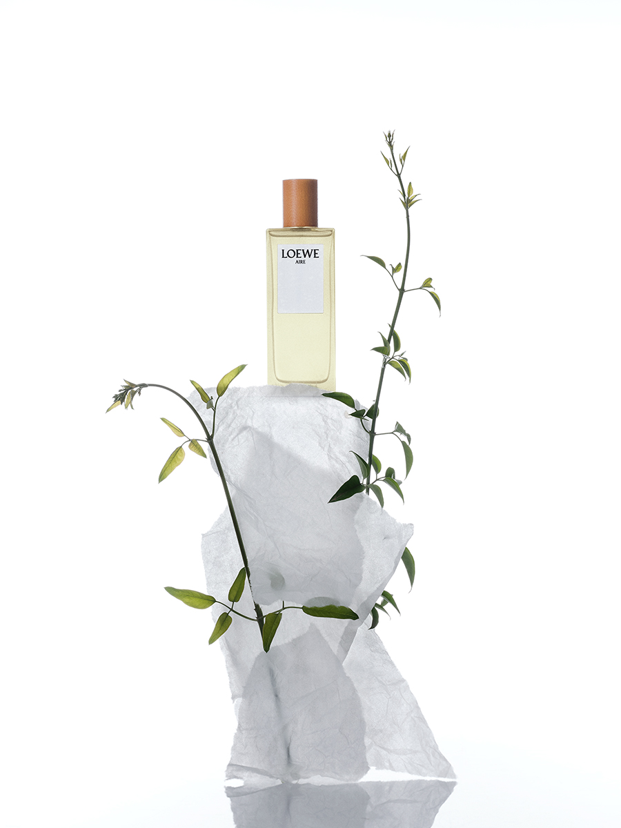 Ana Domínguez Studio: Loewe Perfumes (Fig. 15)