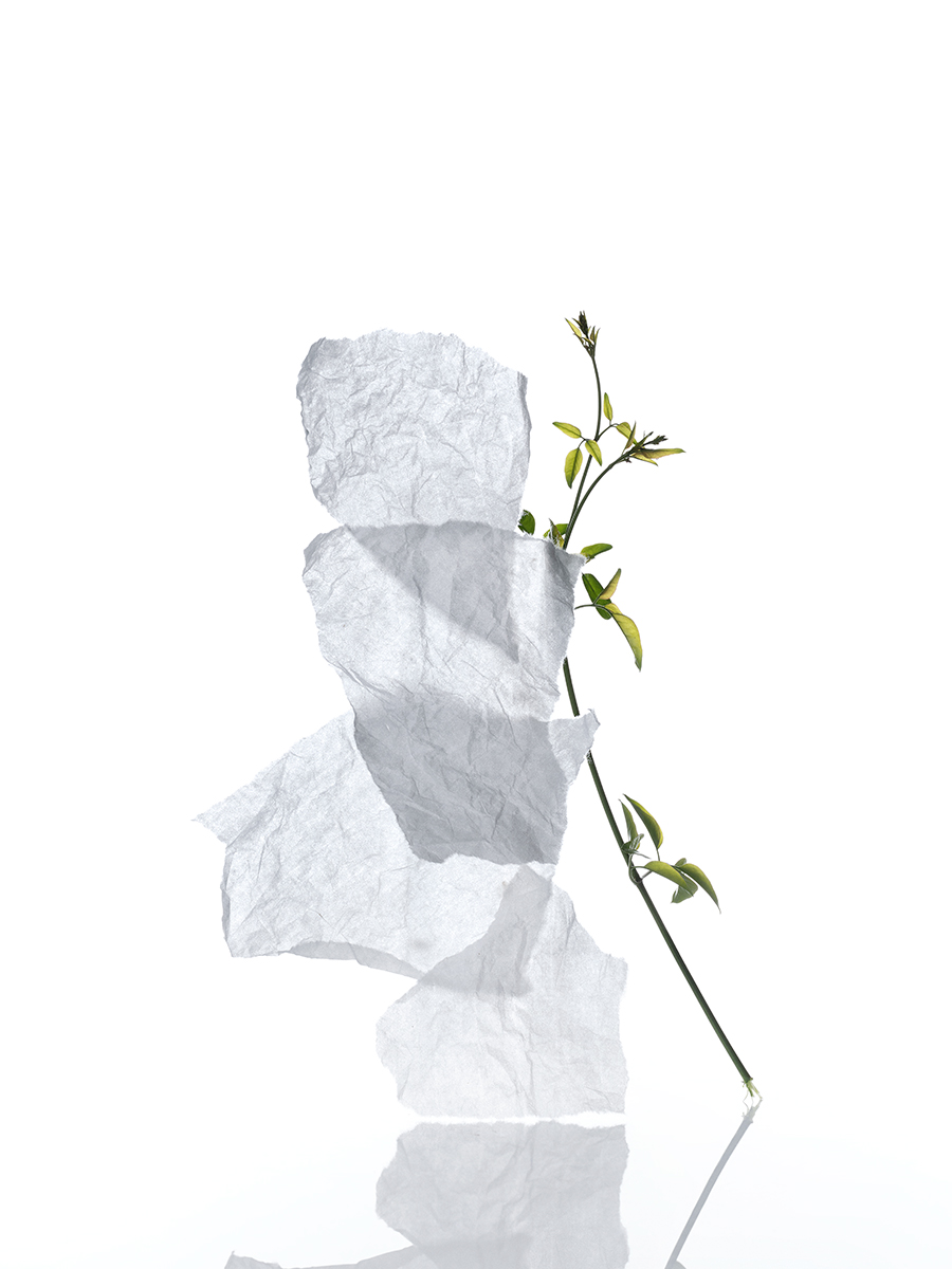 Ana Domínguez Studio: Loewe Perfumes (Fig. 16)