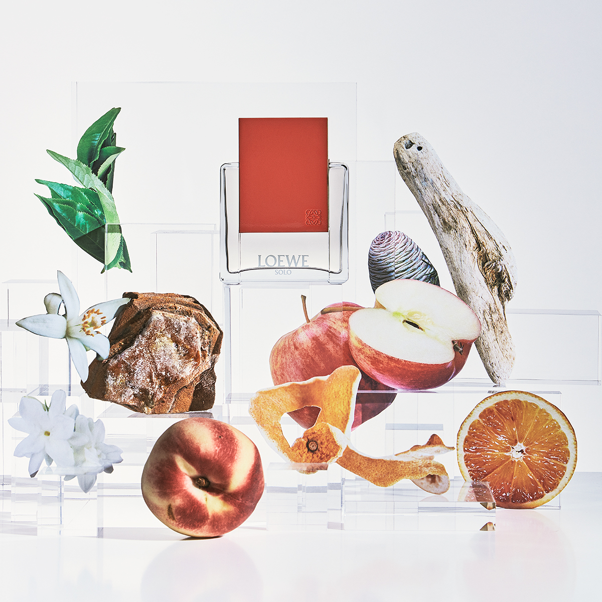 Ana Domínguez Studio: Loewe Perfumes (Fig. 35)