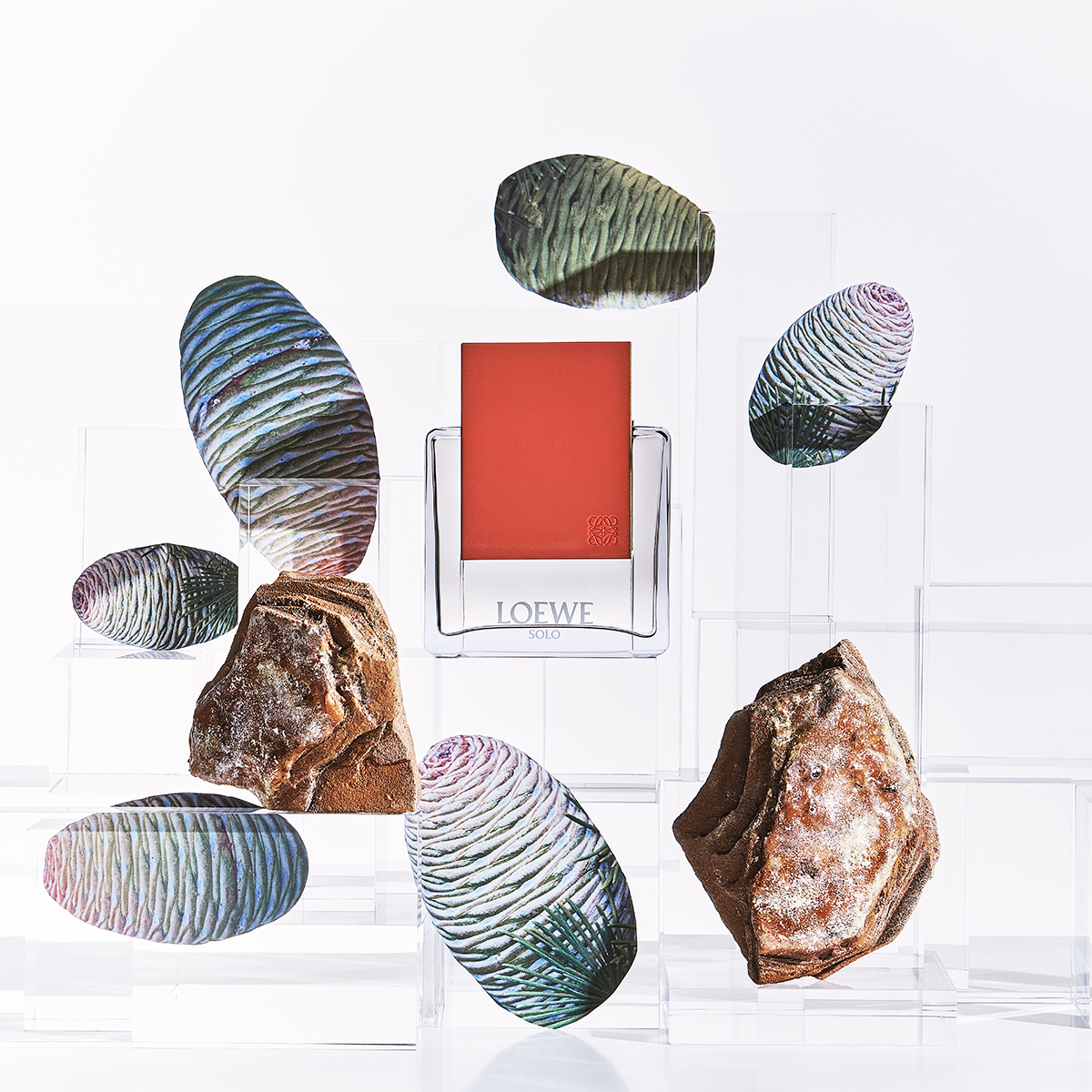 Ana Domínguez Studio: Loewe Perfumes (Fig. 33)
