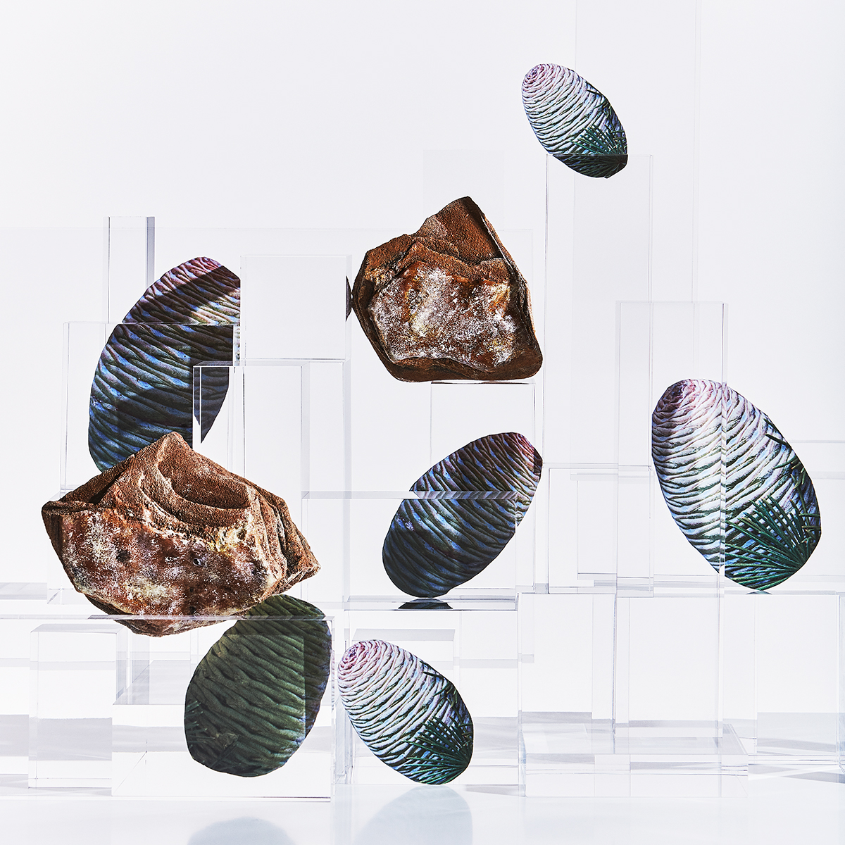 Ana Domínguez Studio: Loewe Perfumes (Fig. 32)