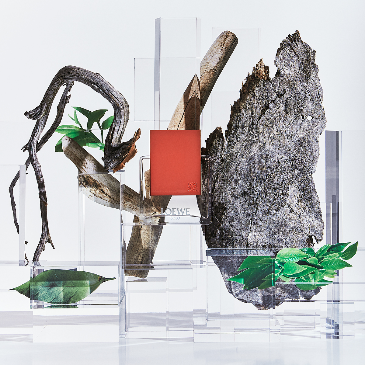 Ana Domínguez Studio: Loewe Perfumes (Fig. 37)