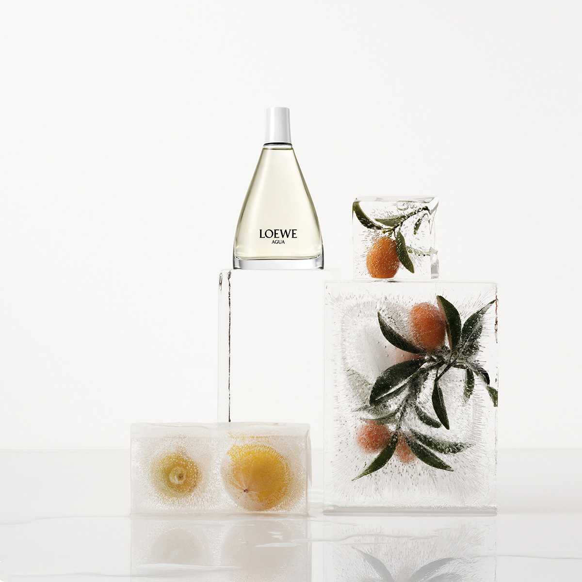 Ana Domínguez Studio: Loewe Perfumes (Fig. 44)