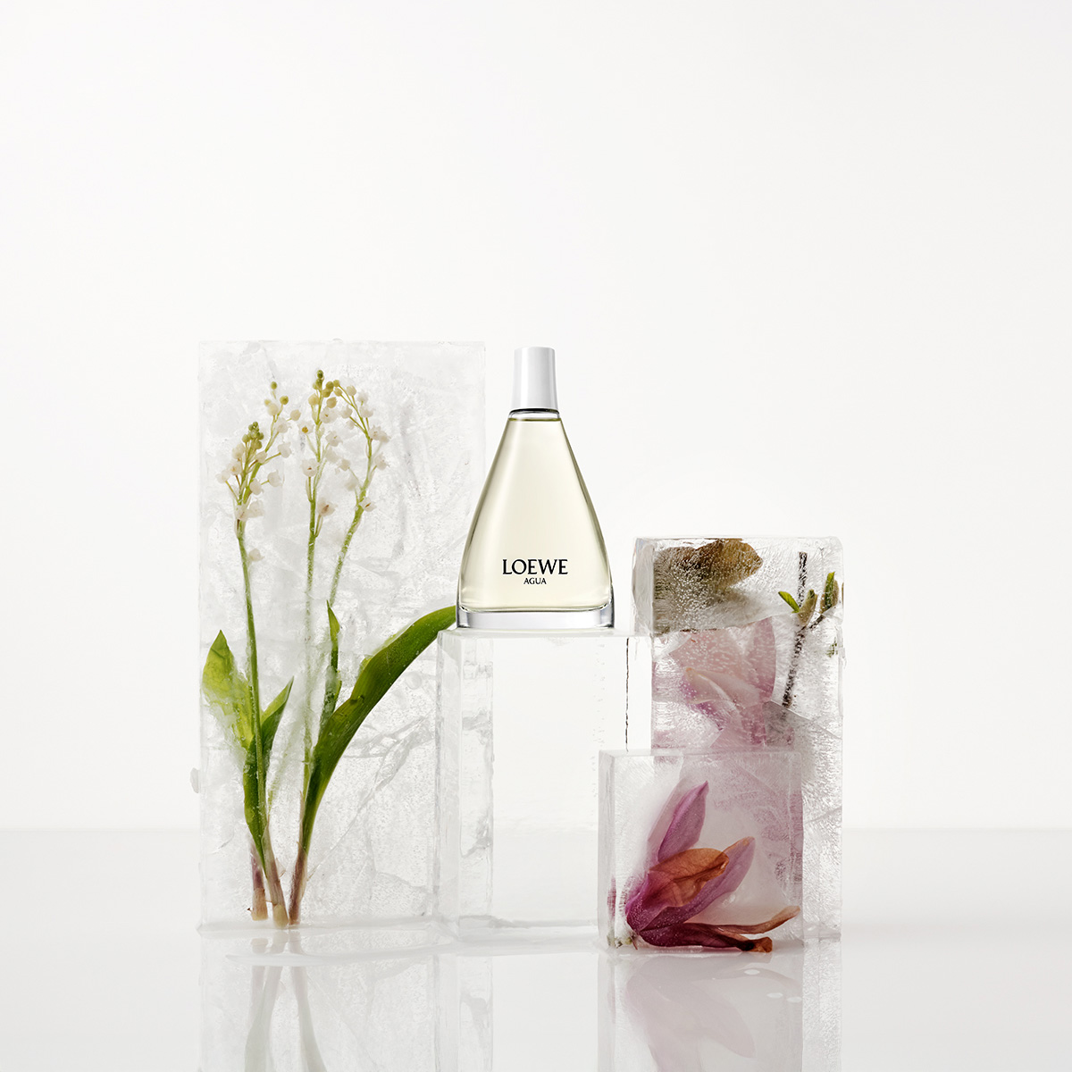Ana Domínguez Studio: Loewe Perfumes (Fig. 42)