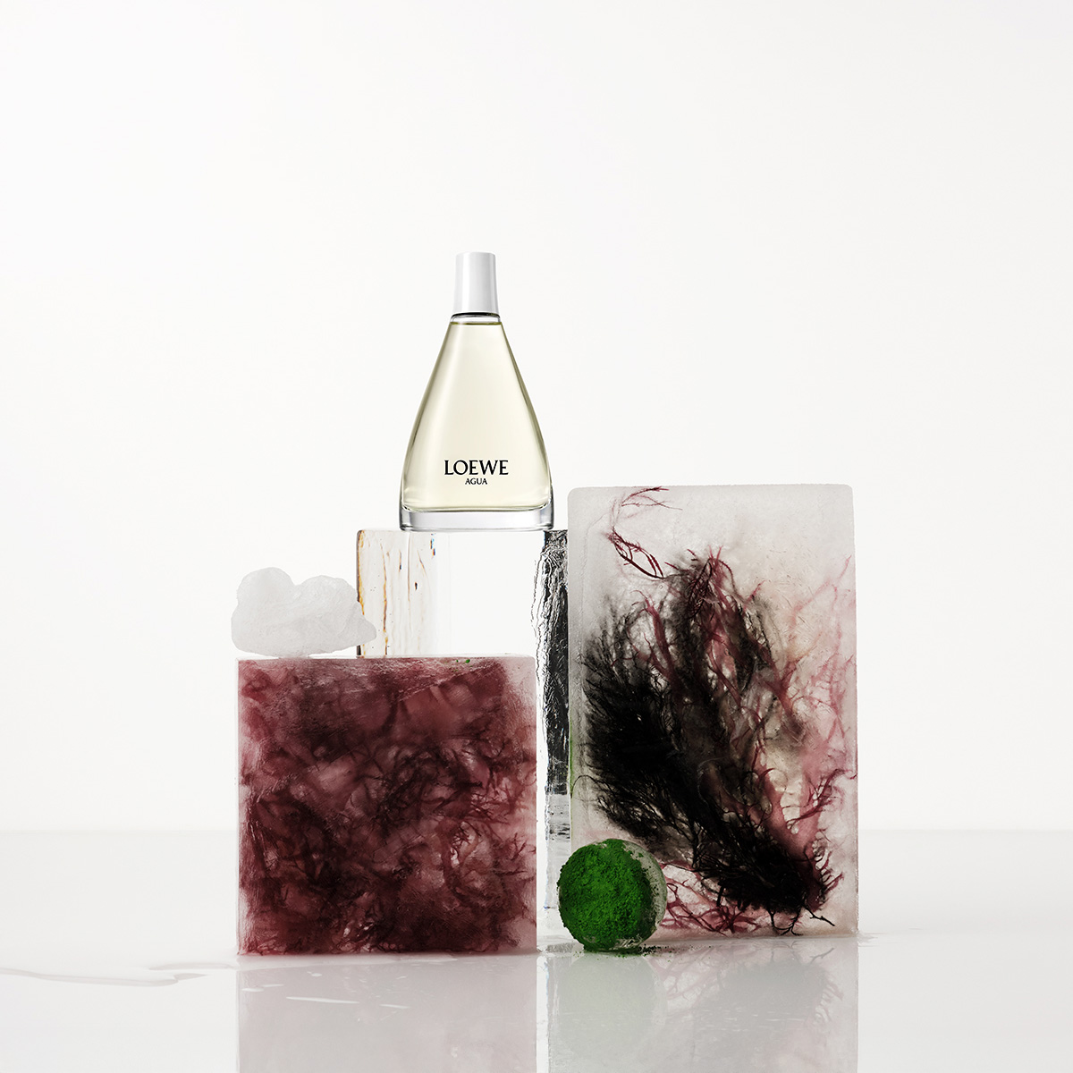 Ana Domínguez Studio: Loewe Perfumes (Fig. 40)