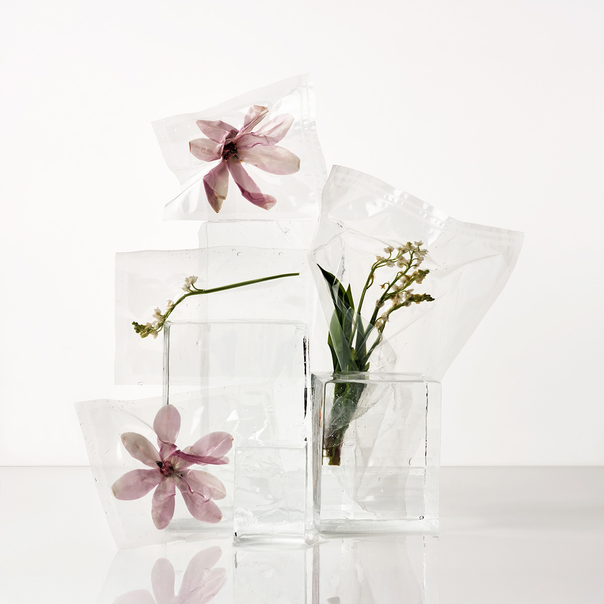 Ana Domínguez Studio: Loewe Perfumes (Fig. 39)