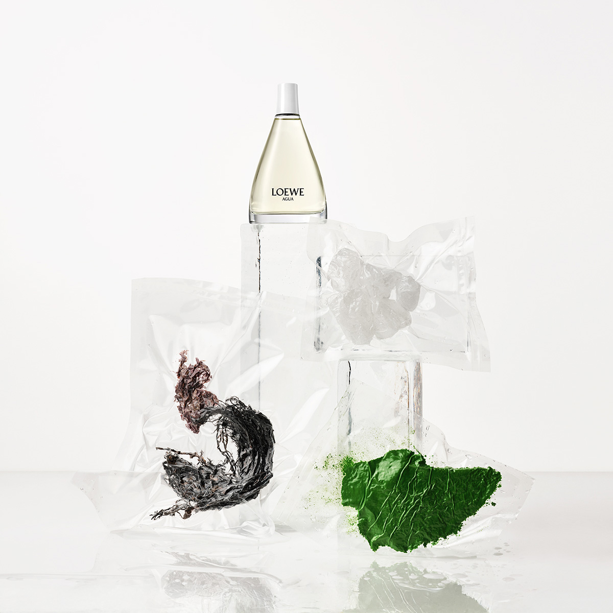 Ana Domínguez Studio: Loewe Perfumes (Fig. 41)