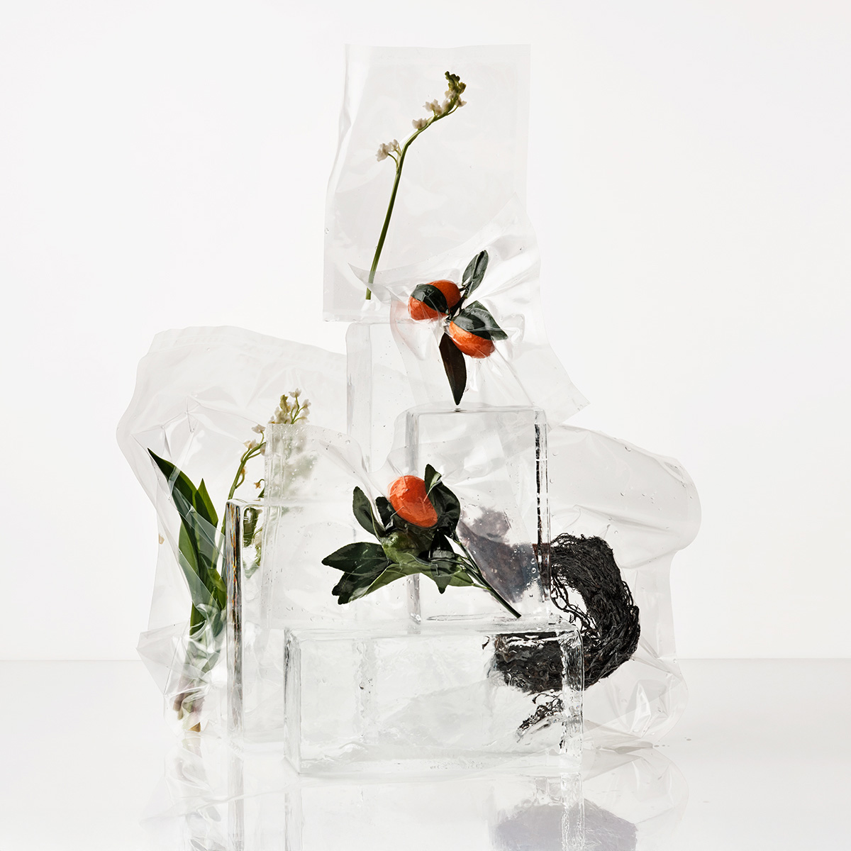 Ana Domínguez Studio: Loewe Perfumes (Fig. 43)