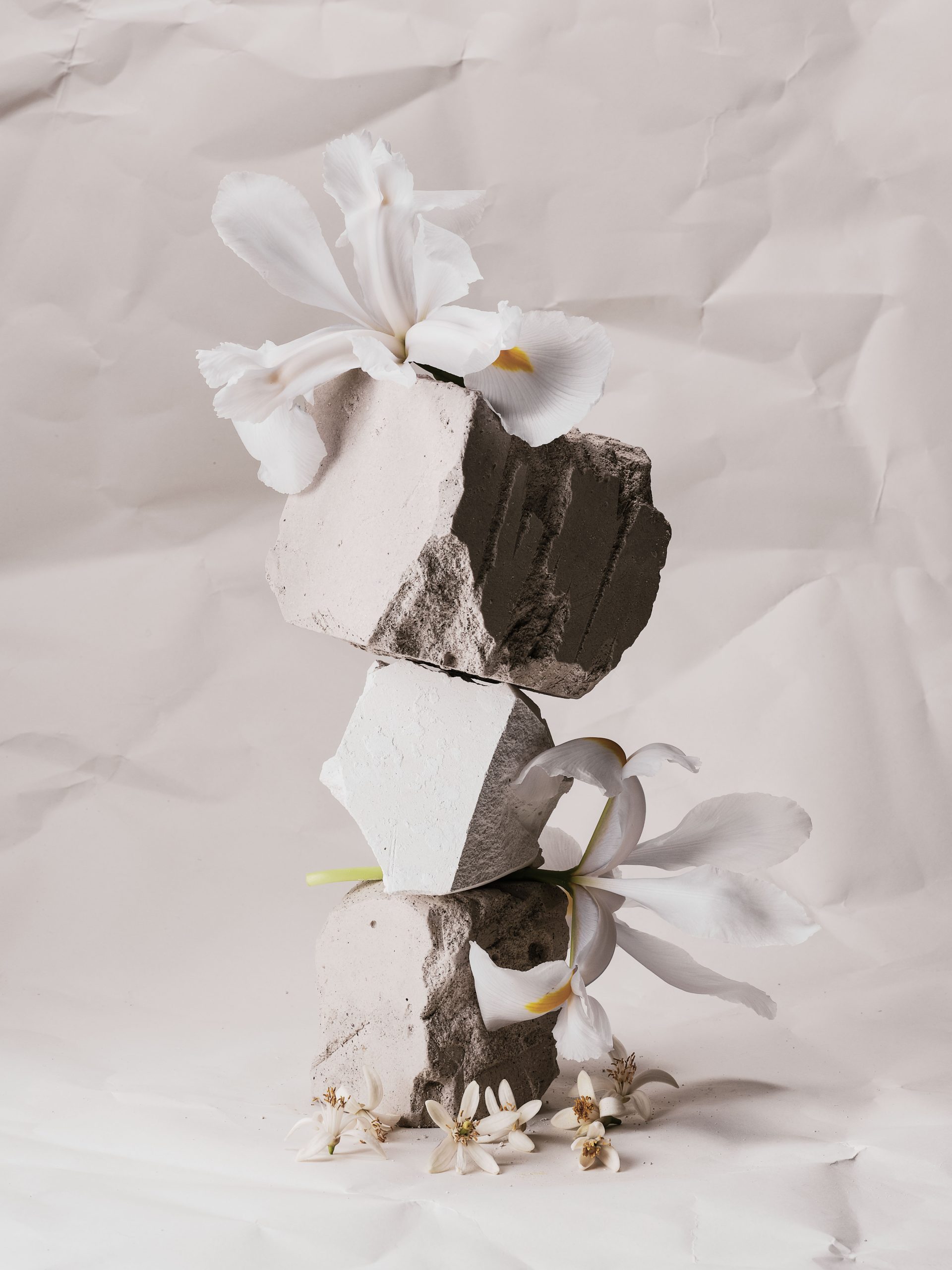 Ana Domínguez Studio: Loewe Perfumes (Fig. 18)