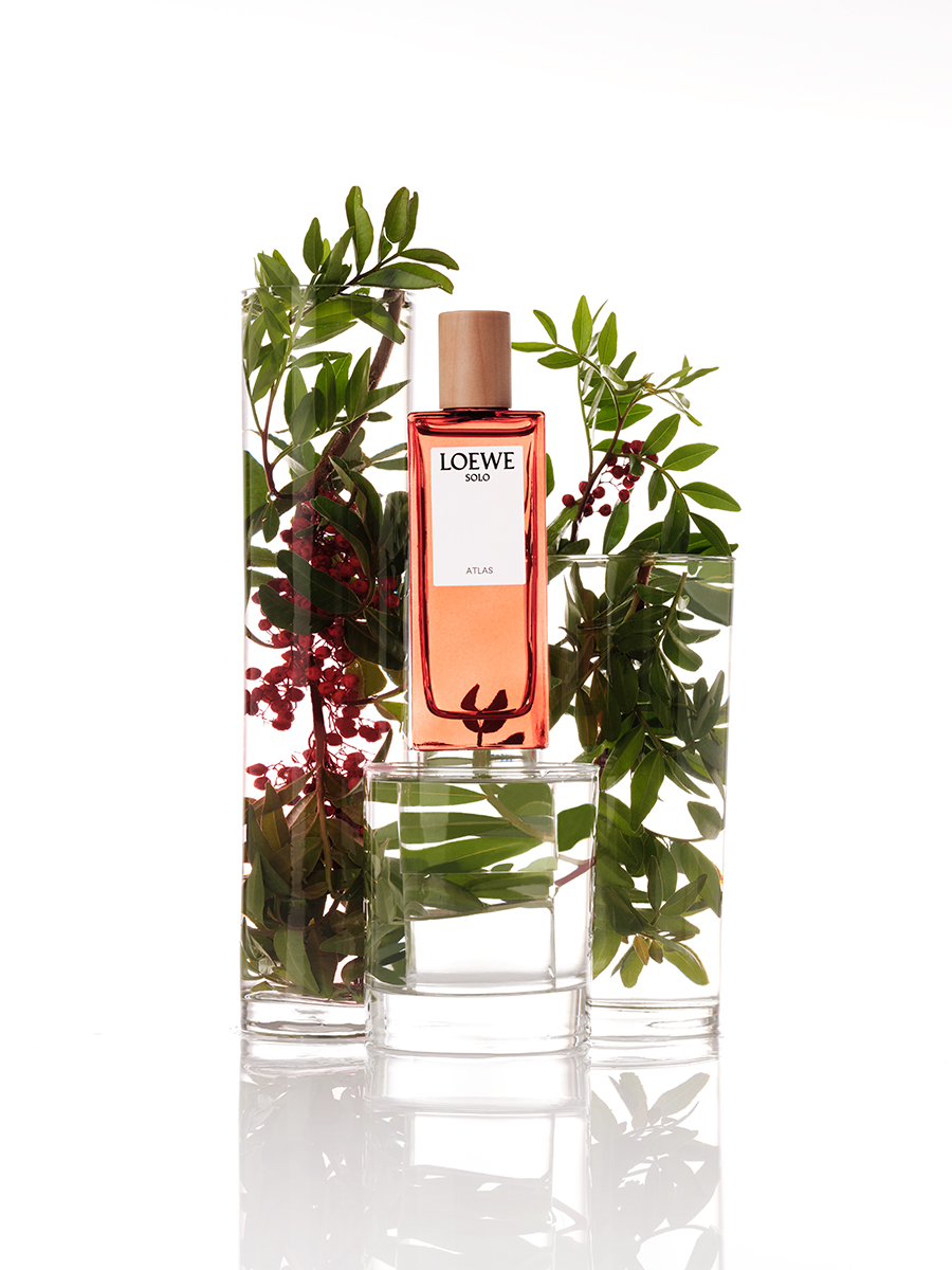 Ana Domínguez Studio: Loewe Perfumes (Fig. 14)