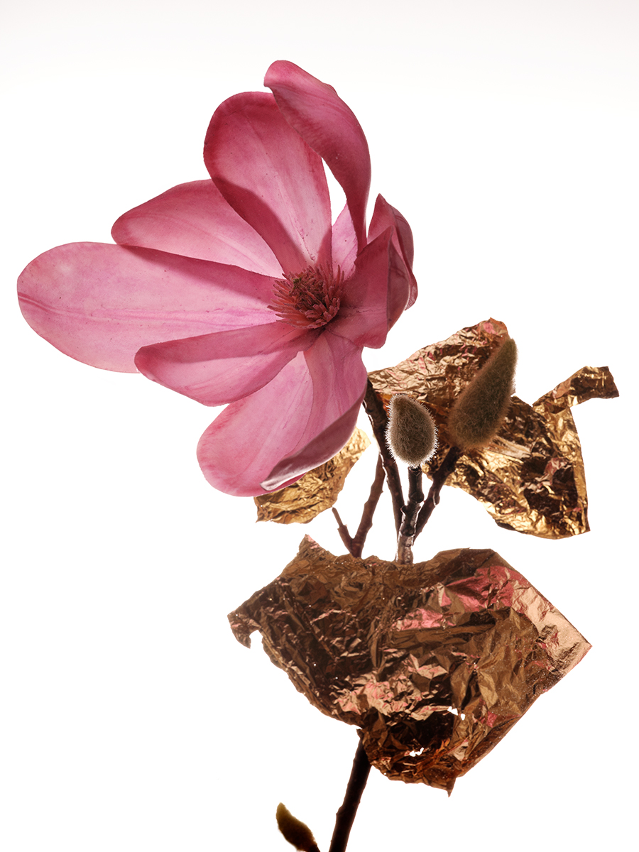 Ana Domínguez Studio: Loewe Perfumes (Fig. 2)