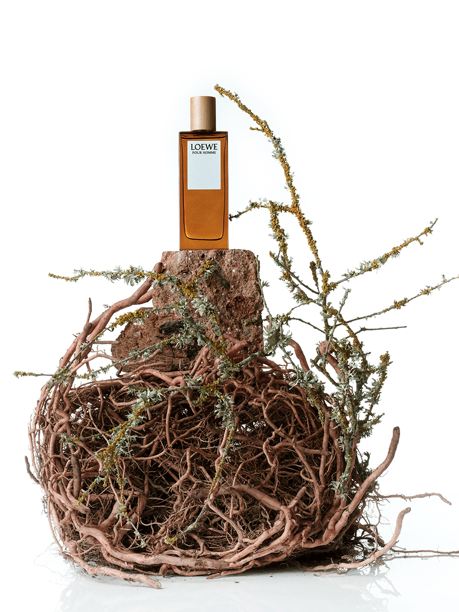 Ana Domínguez Studio: Loewe Perfumes (Fig. 5)