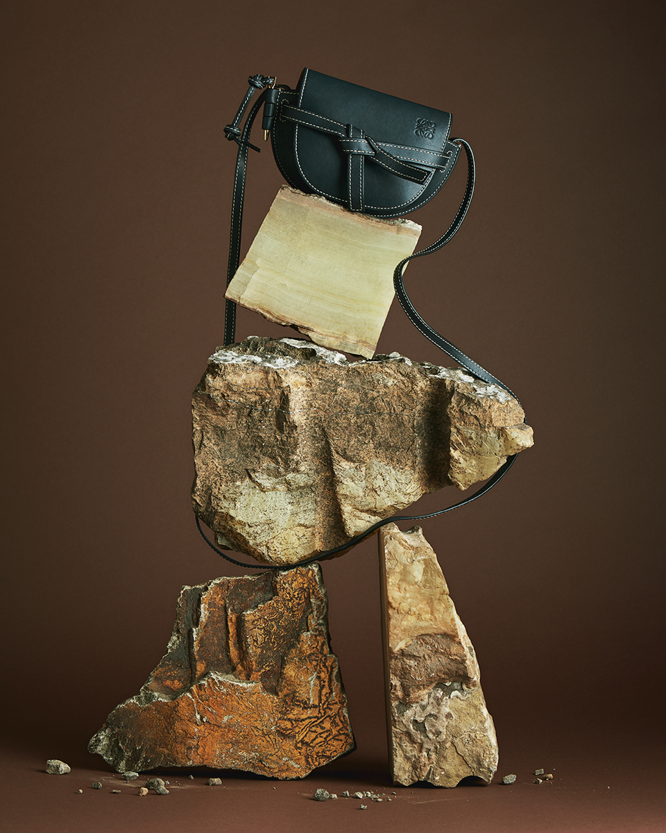 Ana Domínguez Studio: Loewe Mini Bag (Fig. 6)