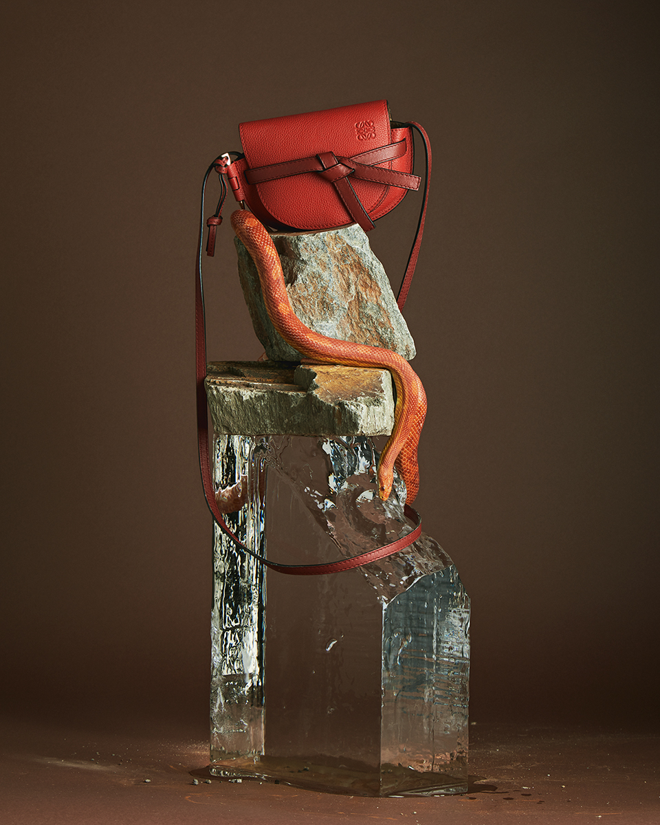 Ana Domínguez Studio: Loewe Mini Bag (Fig. 4)