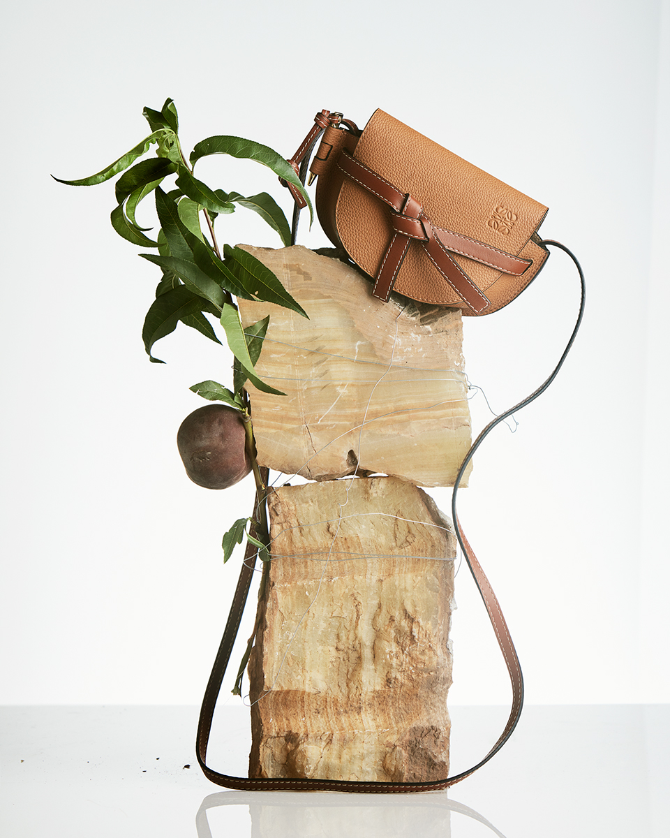Ana Domínguez Studio: Loewe Mini Bag (Fig. 12)