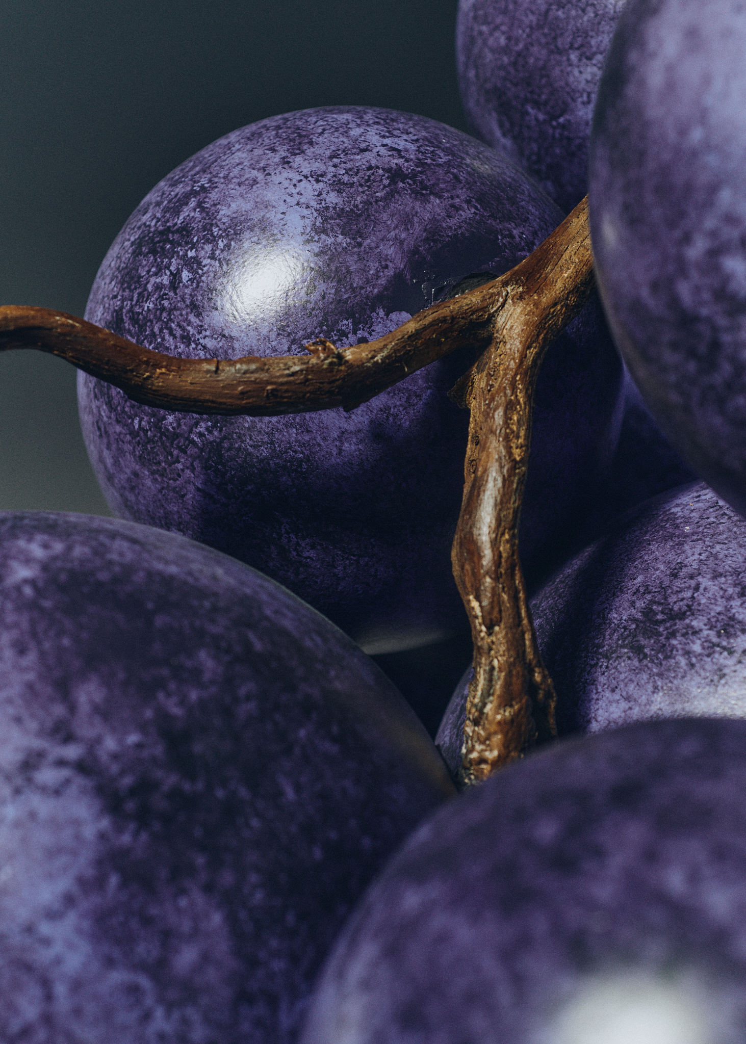 Ana Domínguez Studio: Uvas x Ramón Bilbao (Fig. 4)