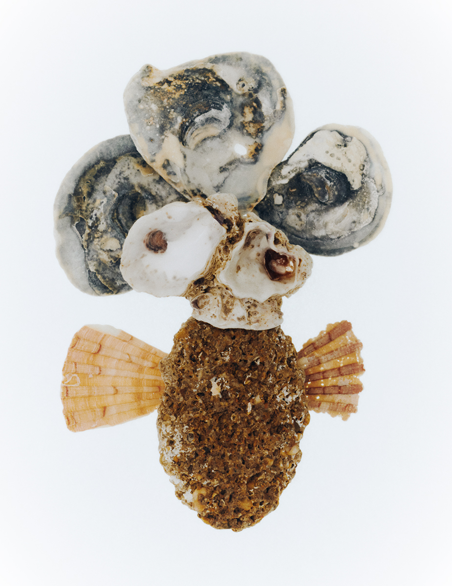 Ana Domínguez Studio: Strange Friends x The Plant (Fig. 5)