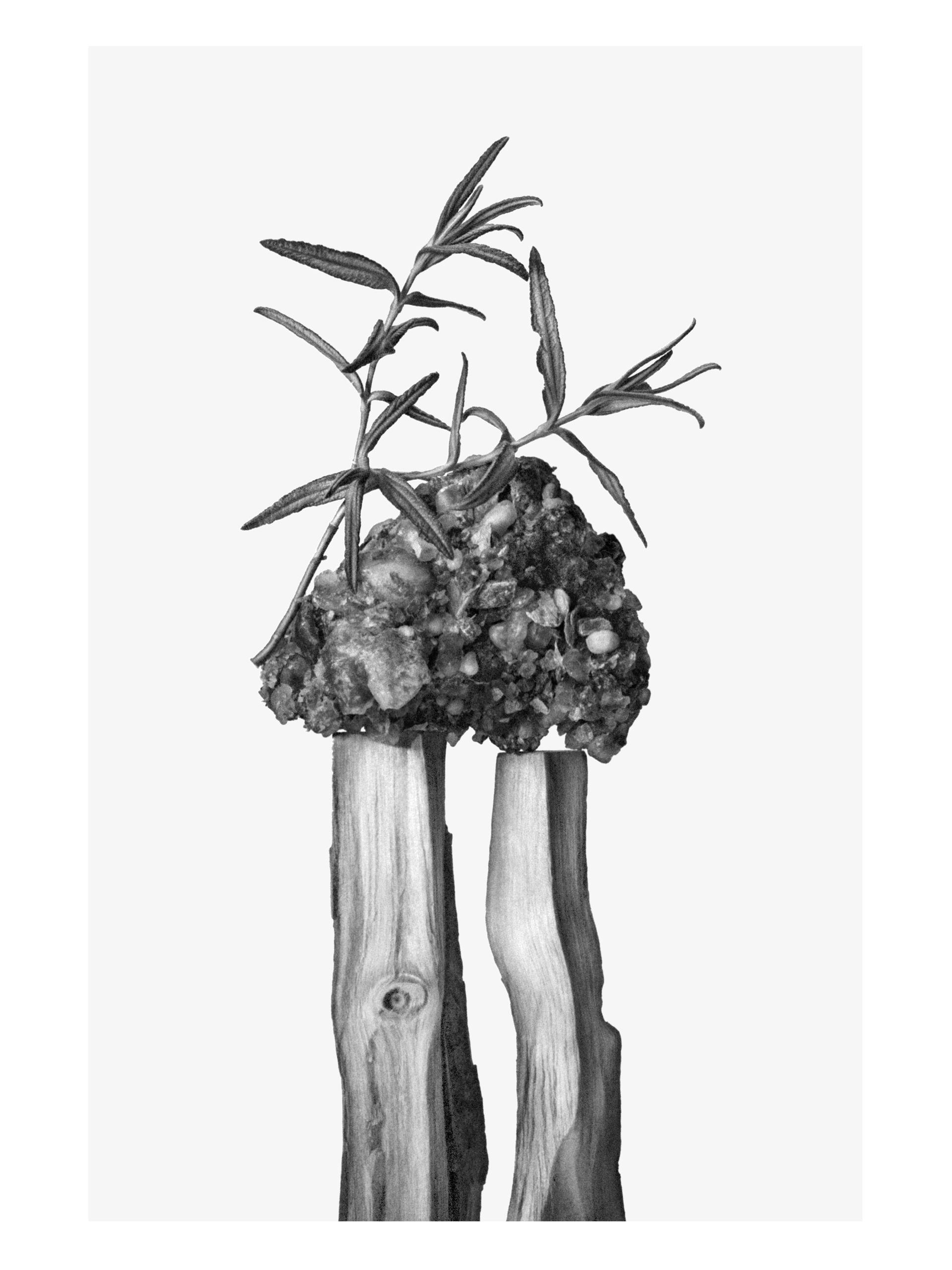 Ana Domínguez Studio: Vibrant Leather x Zara (Fig. 19)