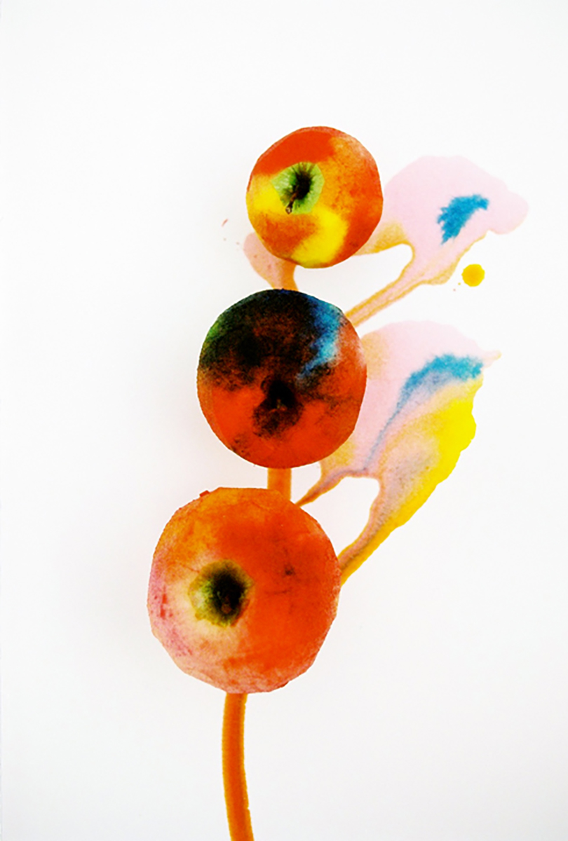Ana Domínguez Studio: Watercolour Fruits (Fig. 2)