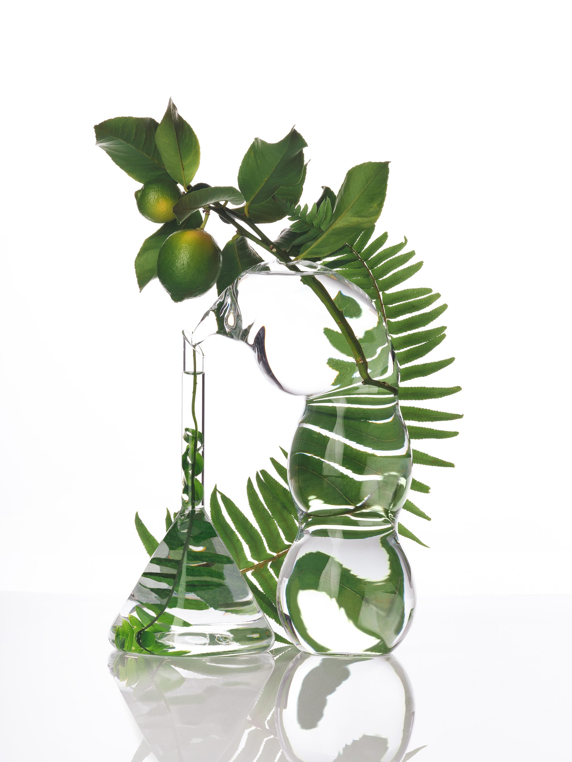 Ana Domínguez Studio: Still Lifes x Wikiparfum (Fig. 1)