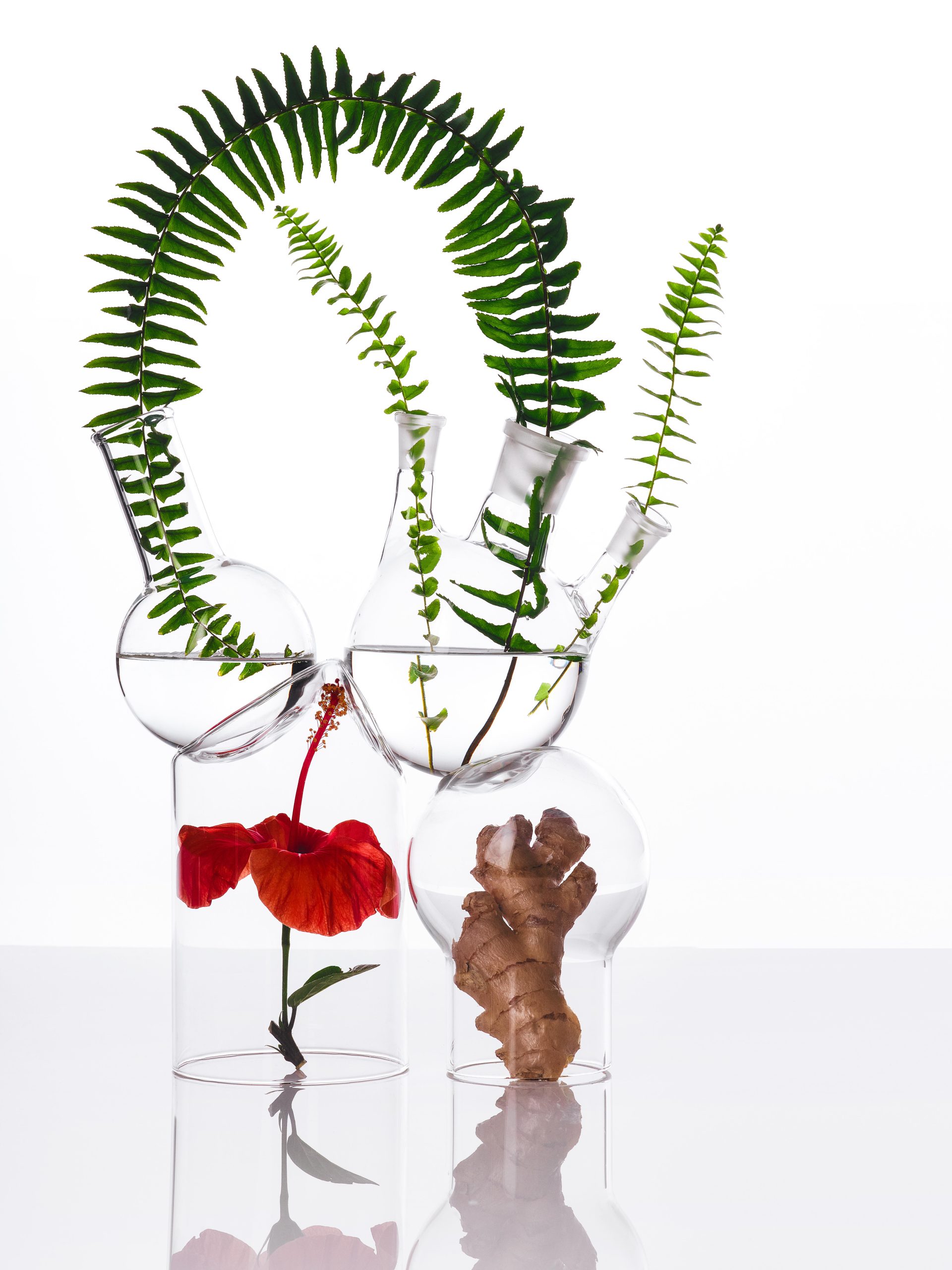 Ana Domínguez Studio: Still Lifes x Wikiparfum (Fig. 4)