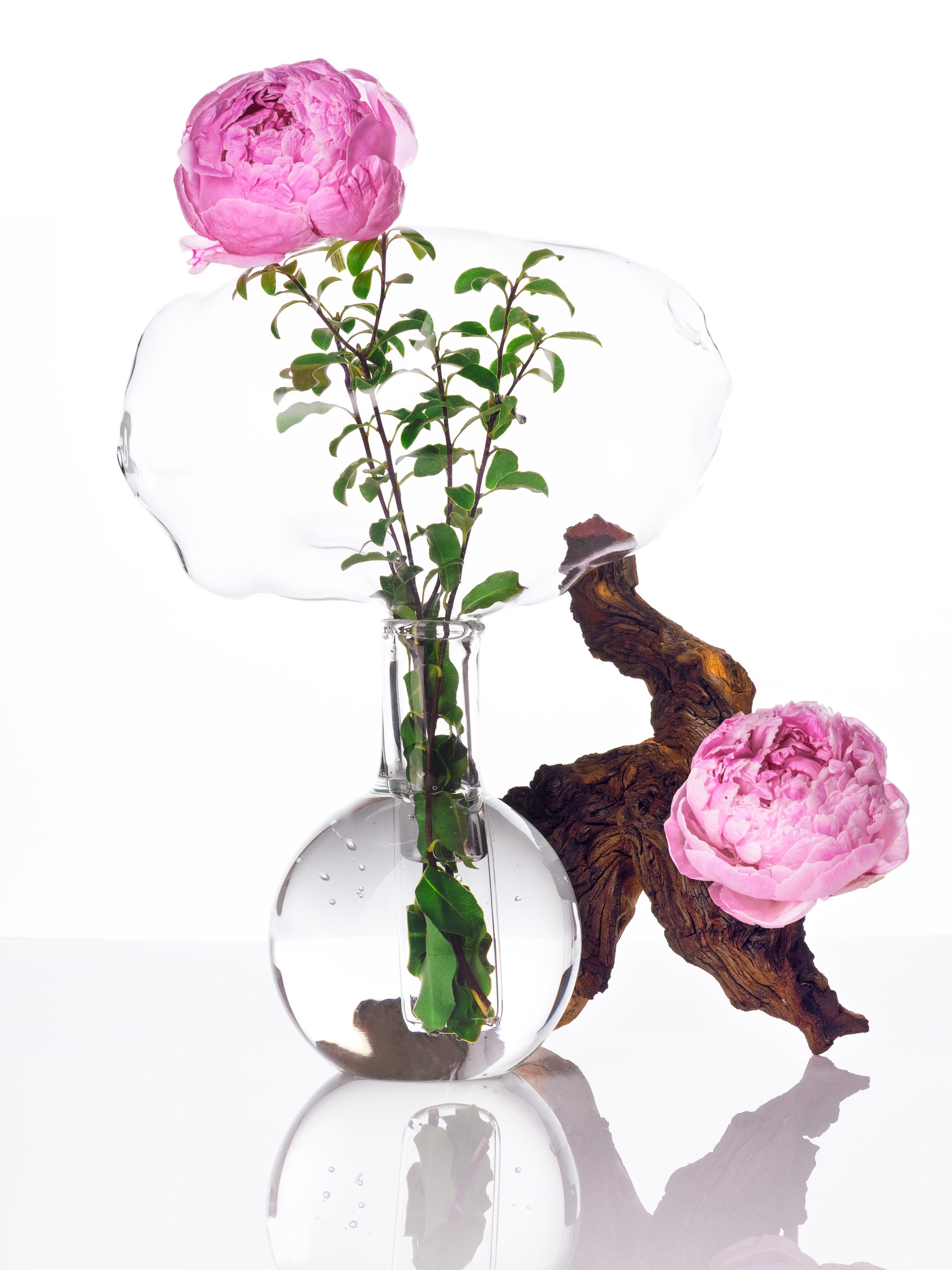 Ana Domínguez Studio: Still Lifes x Wikiparfum (Fig. 5)