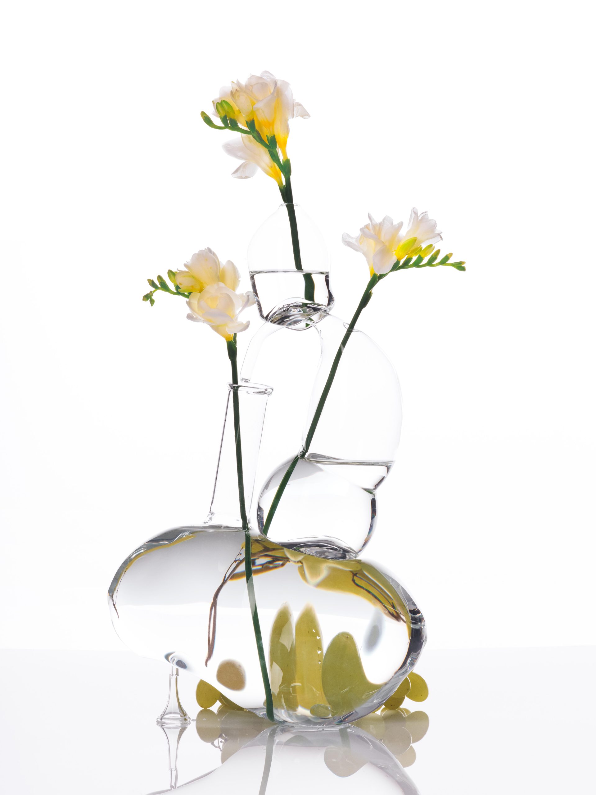 Ana Domínguez Studio: Still Lifes x Wikiparfum (Fig. 6)