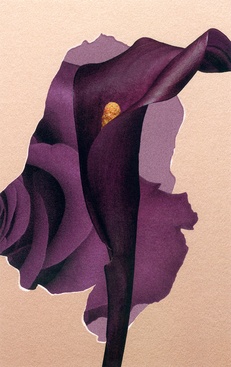 Ana Domínguez Studio: Into the Collection x Zara (Fig. 19)