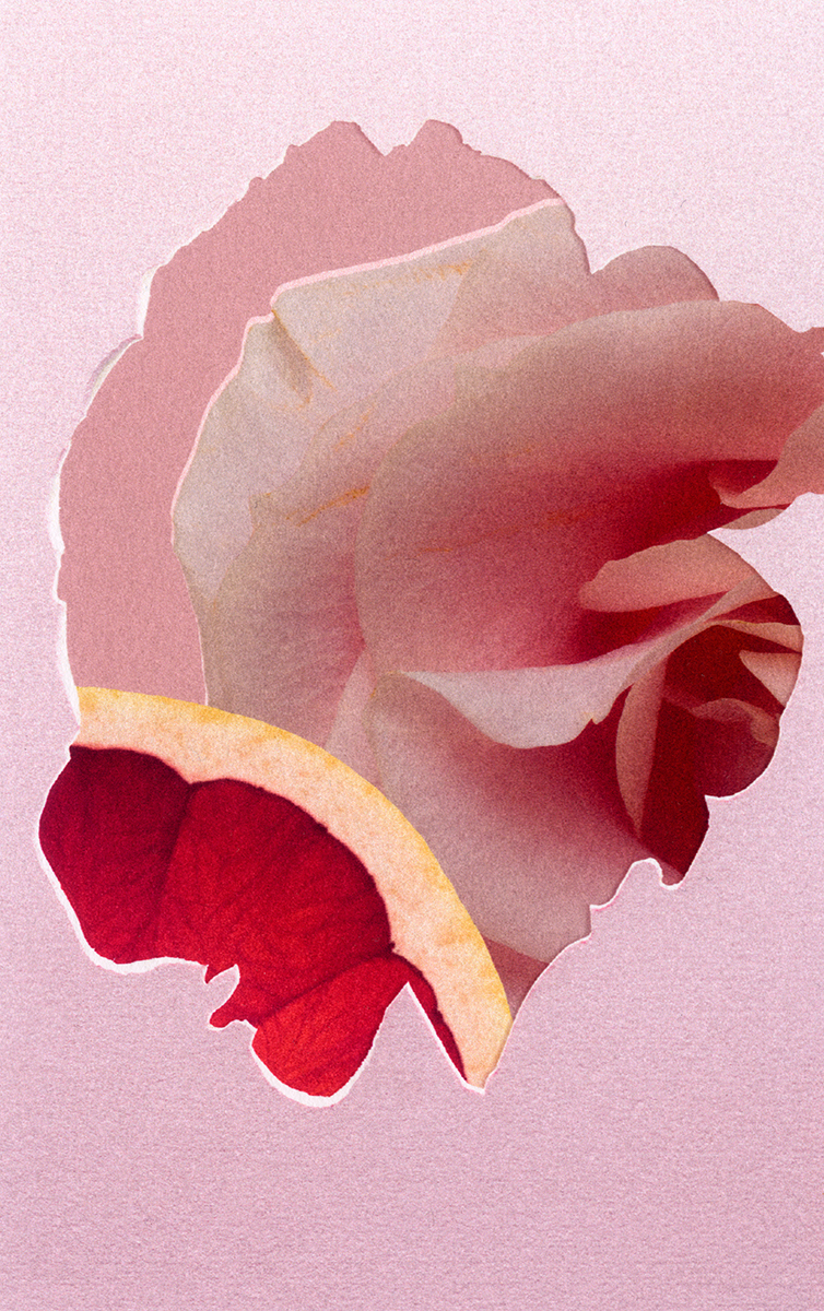 Ana Domínguez Studio: Into the Collection x Zara (Fig. 8)
