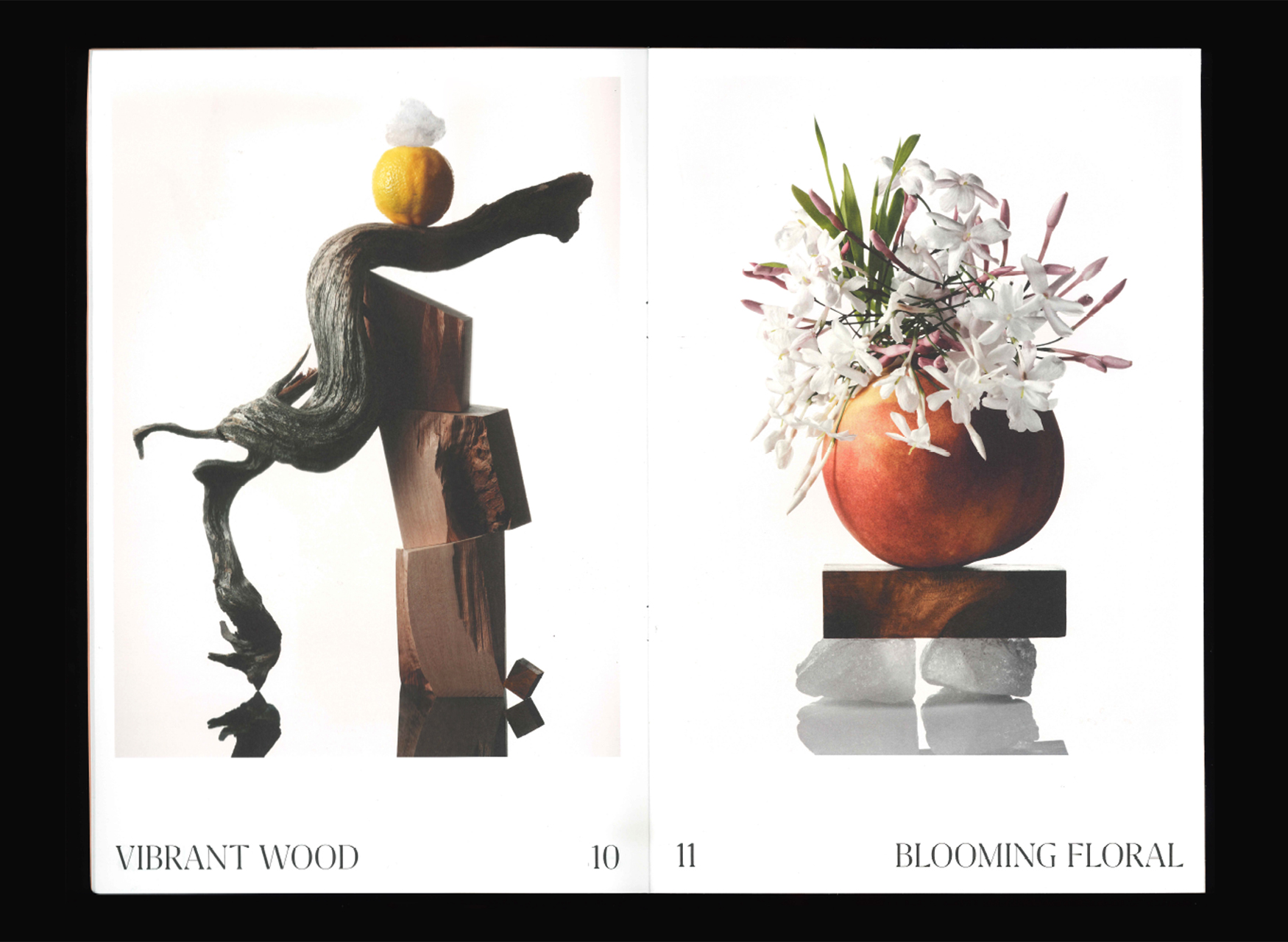 Ana Domínguez Studio: The Alchemist Atelier Still Lifes (Fig. 2)